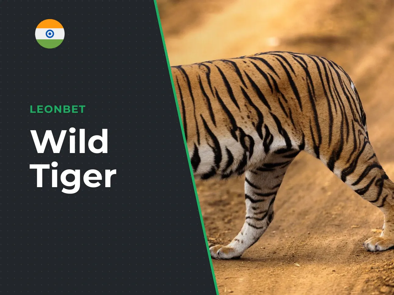 Wild Tiger Slot Online Play Demo