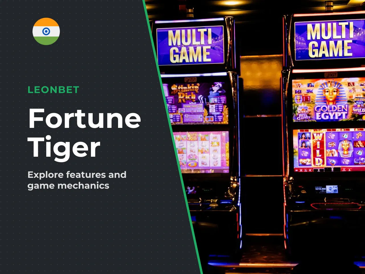What Is Fortune Tiger and Who